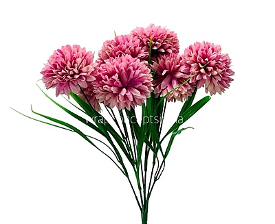 Carnation Bunch - Mullticolour