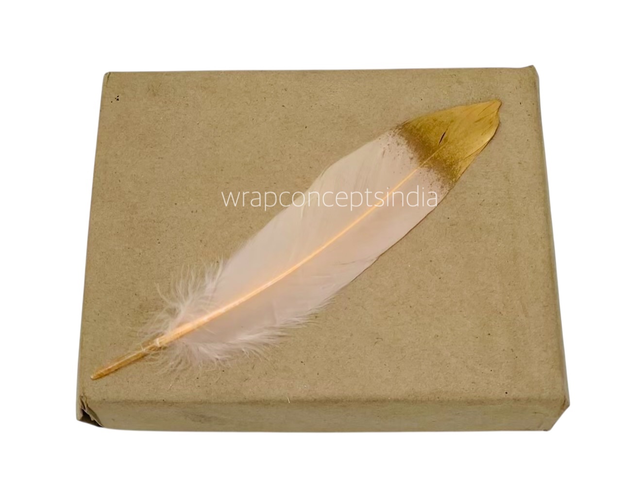 Faux Feather with Gold Edges