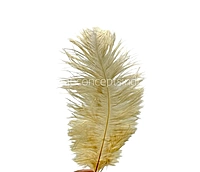 Faux Feather Rounded Edges-Brown