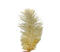 Faux Feather Rounded Edges-Brown