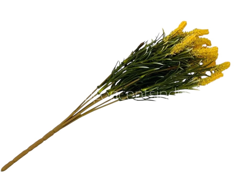 Leaves Bunch with Frosted Conifers