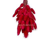 Preserved Bunny Tails-Teal