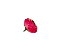 Small Peony-Fuchsia Pink