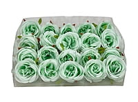 Mint Green Roses