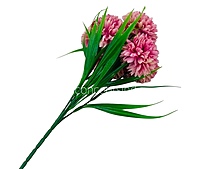 Carnation Bunch - Mullticolour