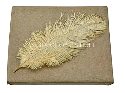 Faux Feather Rounded Edges