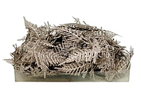 Champagne Candy Grass Leaves