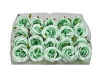 Mint Green Roses