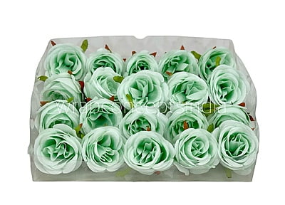 Mint Green Roses