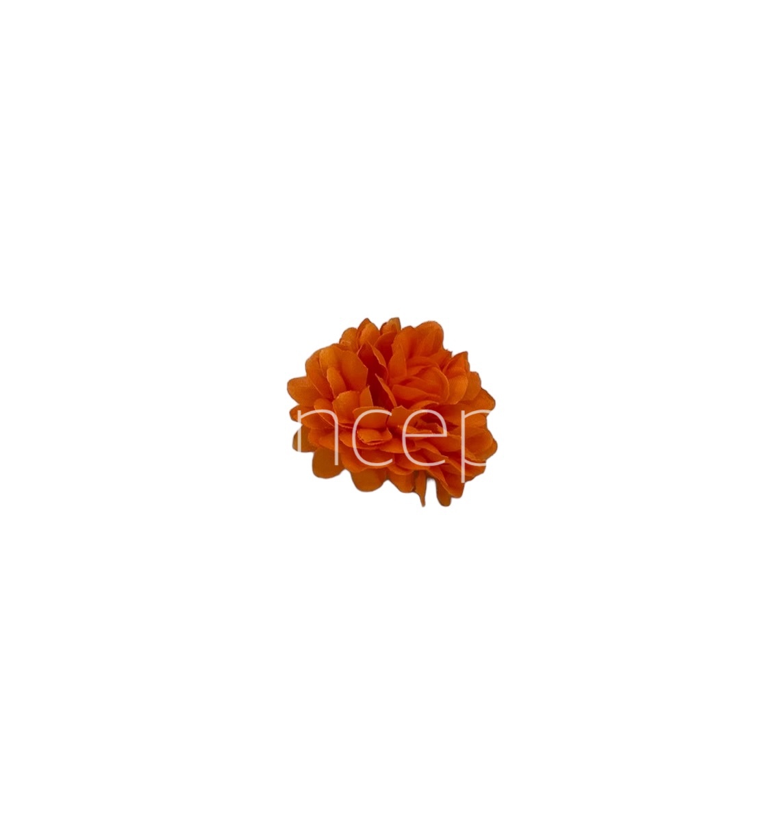 Small Carnation -Orange