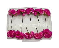 Hot Pink Aubrieta Flower