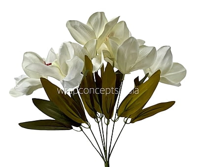 Sunshine Yellow Bougainvillea Flower Bunch