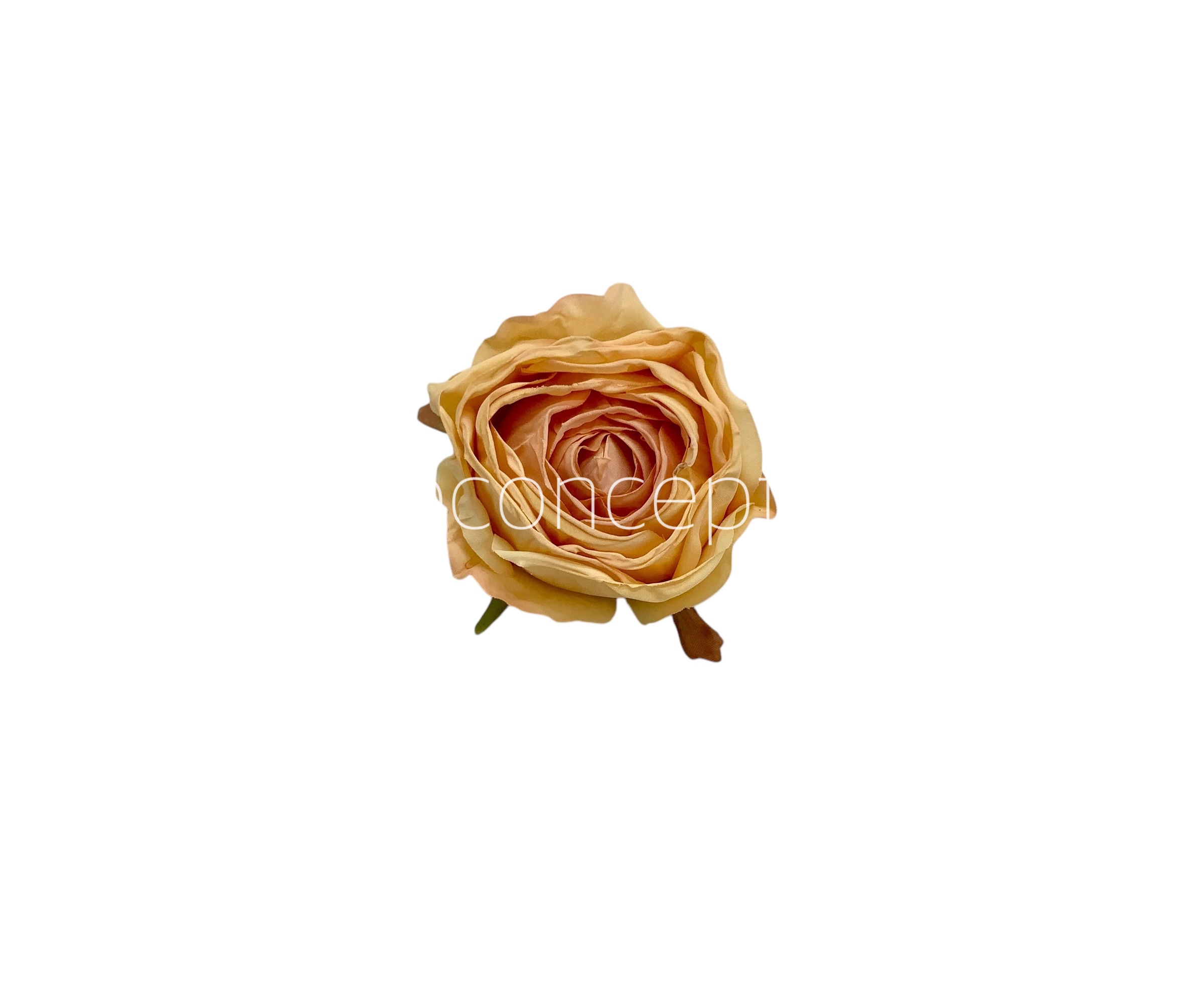 Honey Roses