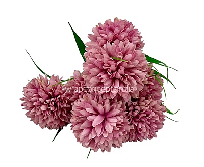 Carnation Bunch - Mullticolour