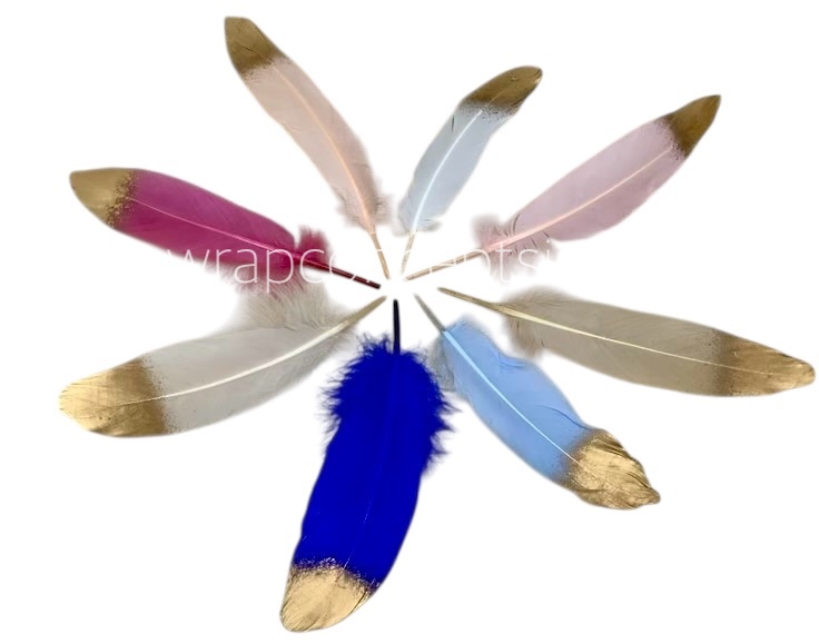 Faux Feather with Gold Edges
