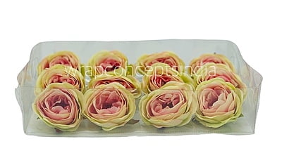 Camellia Flower - Lime Green With Hints Of Pink Camellia Flower - Lime Green With Hints Of Pink
