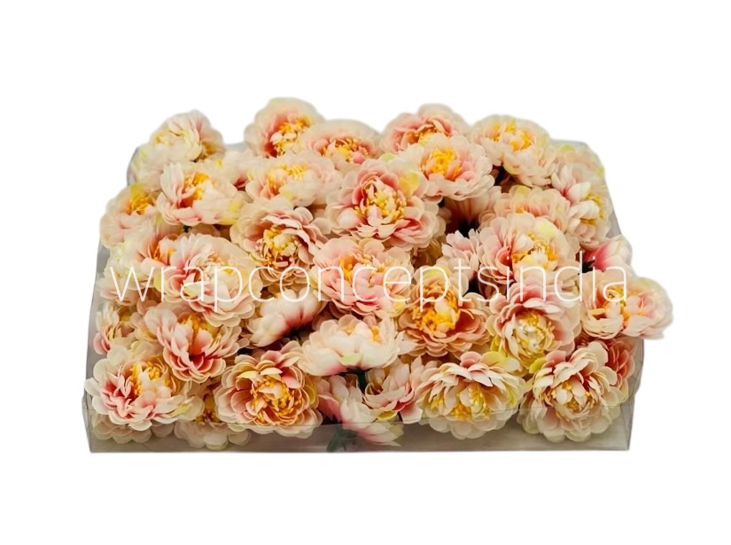 Cream with Pink Small Dahlias