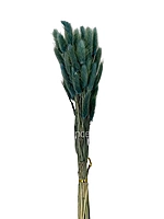 Preserved Bunny Tails-Teal