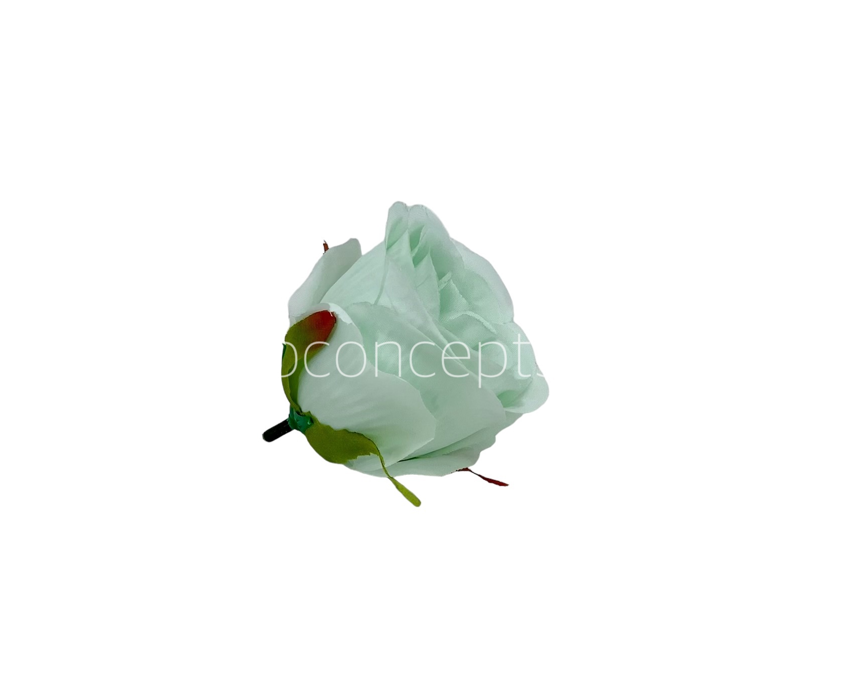 Mint Green Roses