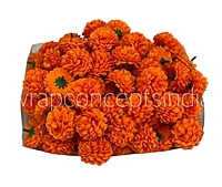 Small Carnation -Orange