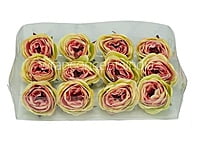 Camellia Flower - Lime Green With Hints Of Pink