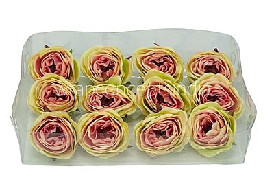 Camellia Flower - Lime Green With Hints Of Pink Camellia Flower - Lime Green With Hints Of Pink