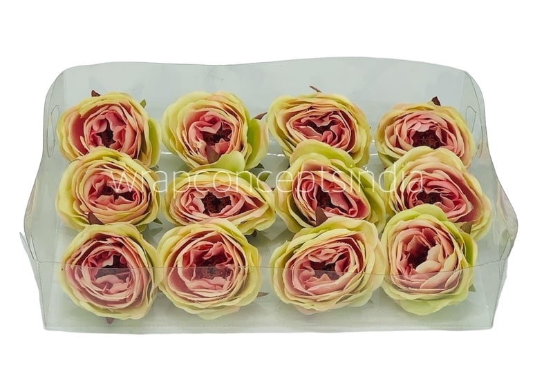 Camellia Flower - Lime Green With Hints Of Pink Camellia Flower - Lime Green With Hints Of Pink