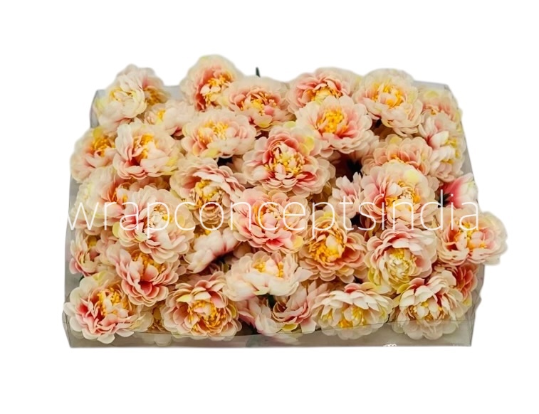 Cream with Pink Small Dahlias