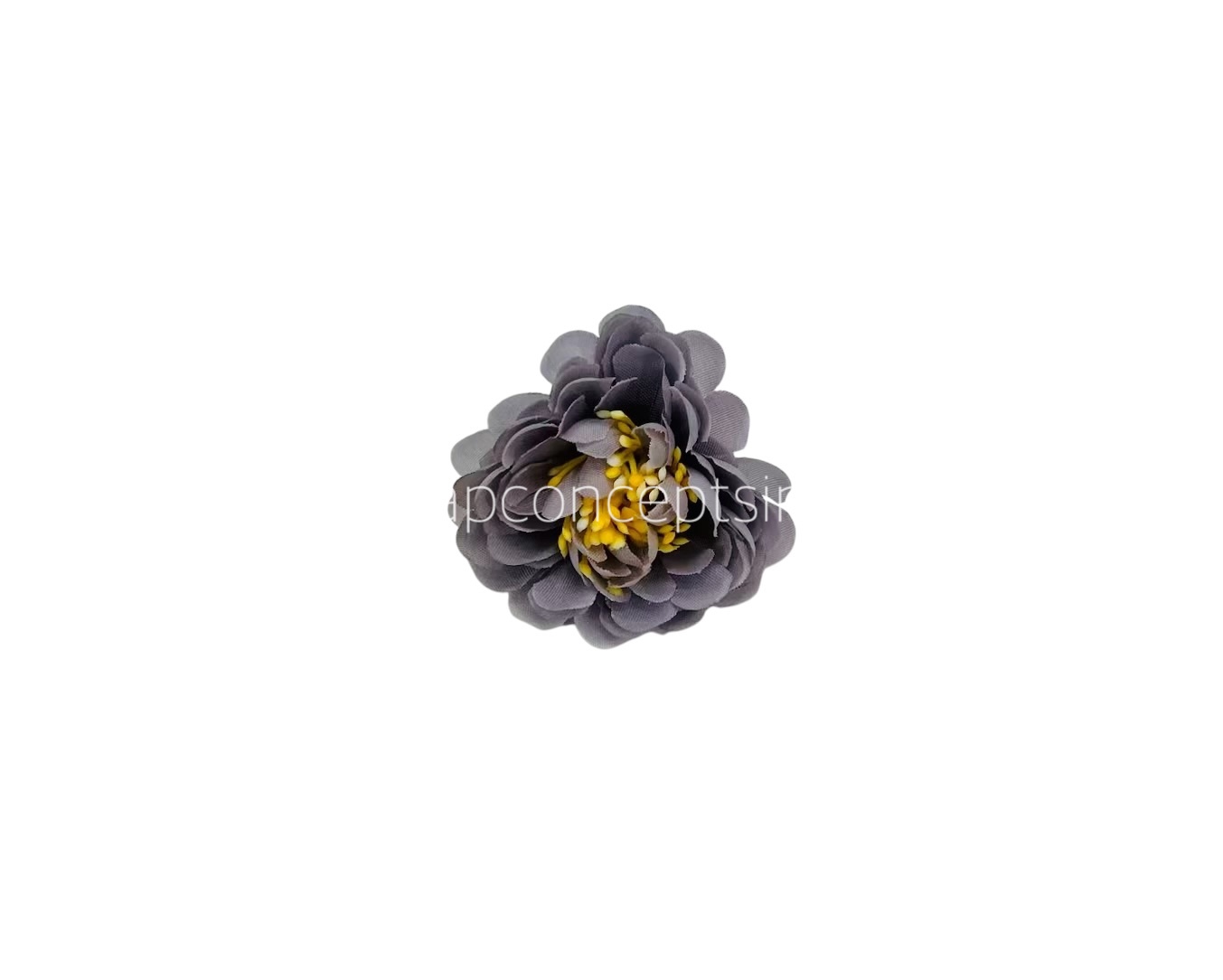 Lavender Small Dahlias