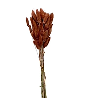 Preserved Bunny Tails-Teal