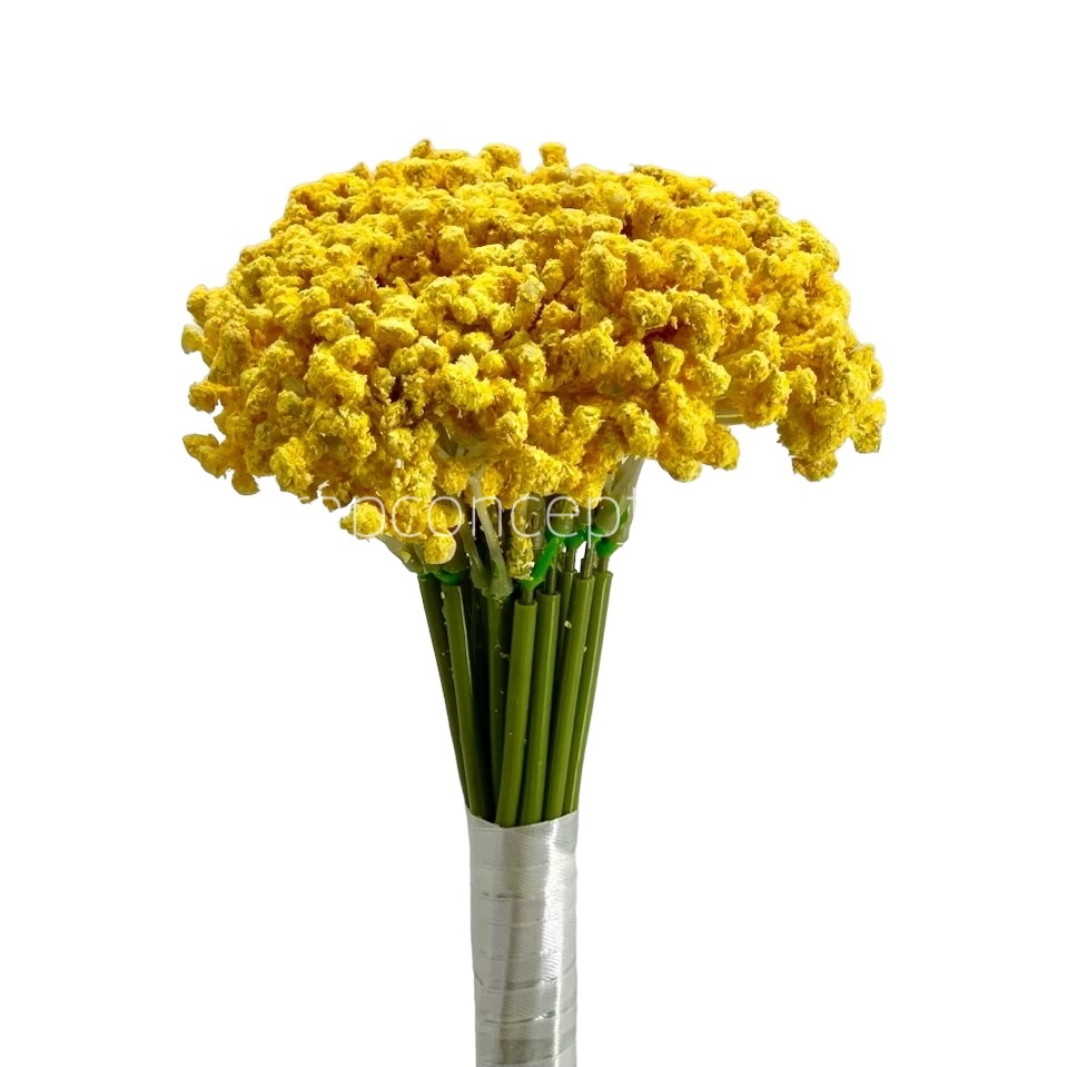 Baby Breath's Bunch