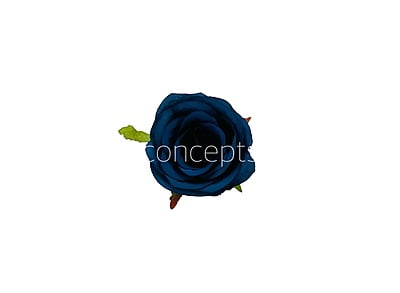 Navy Blue Roses