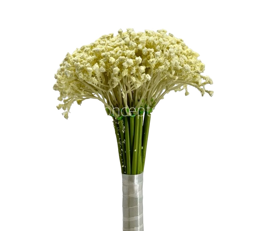 Baby Breath's Bunch