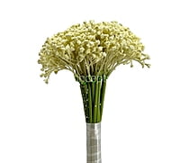 Baby Breath's Bunch