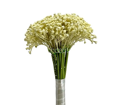 Baby Breath's Bunch