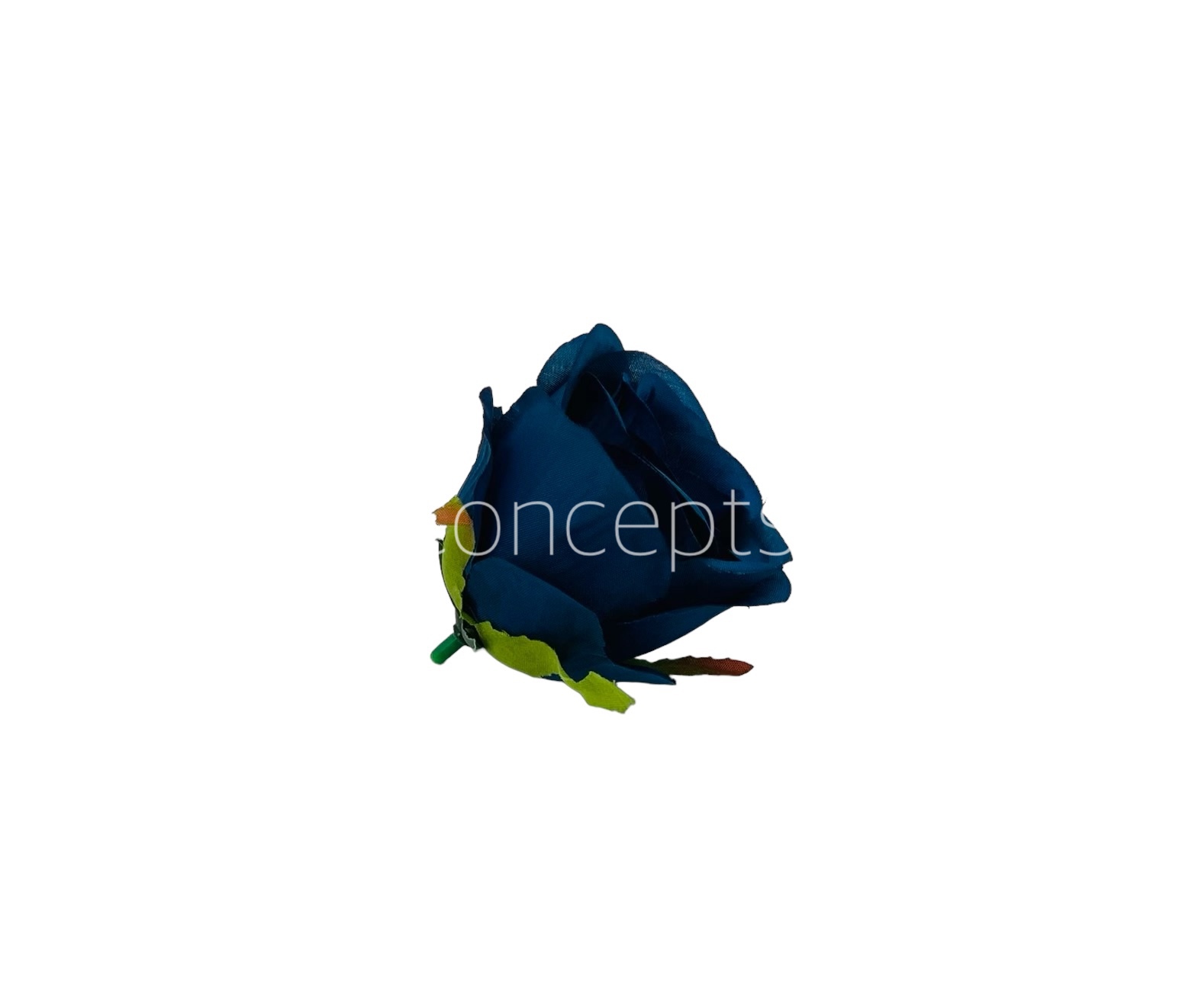 Navy Blue Roses