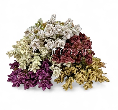 Frosted Wildflower Bush