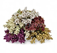 Frosted Wildflower Bush-Wine
