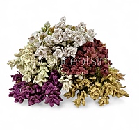 Frosted Wildflower Bush-Wine