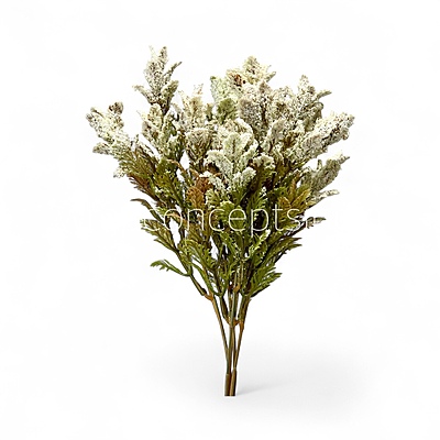 Frosted Wildflower Bush