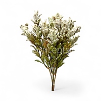 Frosted Wildflower Bush-Wine