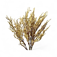 Frosted Willow Spray-Mocha