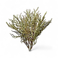 Frosted Willow Spray-Mocha