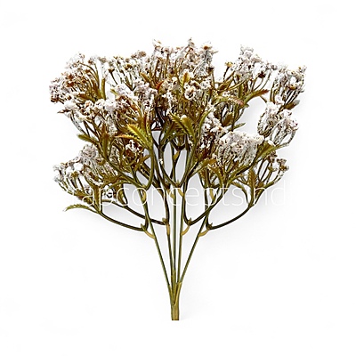 Frosted Heather Bush Frosted Heather Bush