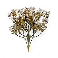 Frosted Heather Bush-Rust