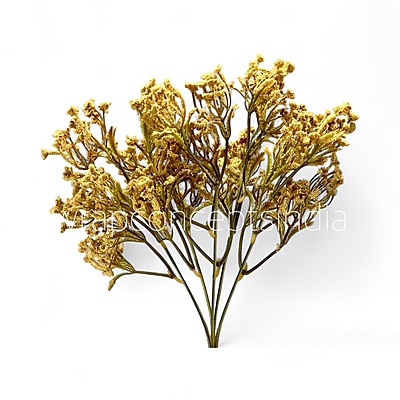 Frosted Heather Bush Frosted Heather Bush