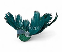 Regal Dove1