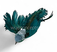 Regal Dove1