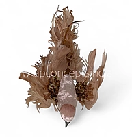 Regal Dove1