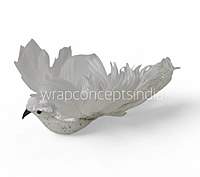 Regal Dove1